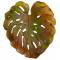 Лист настенный Monstera зел.- оранж. LF Daum 05276-170