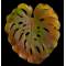Лист настенный Monstera зел.- оранж. LF Daum 05276-170
