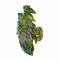 Лист настенный Monstera зел.- оранж. SF Daum 05276-140