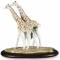 Статуэтка "Жирафы" Lladro 01009389