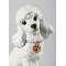 Статуэтка собаки "Пудель" Lladro 01009472