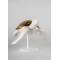 Статуэтка "Морская черепаха II" Lladro 01009597