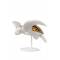 Статуэтка "Морская черепаха I" Lladro 01009598