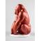 Статуэтка "Гориллы" Lladro 01009747