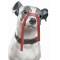 Статуэтка собака "Джек-рассел с лакрицей" Lladro 01009192